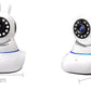 Wireless Camera Remote Monitoring
